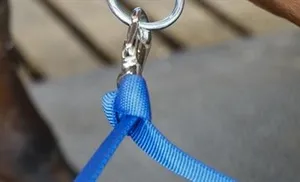 Bindslen & märkning